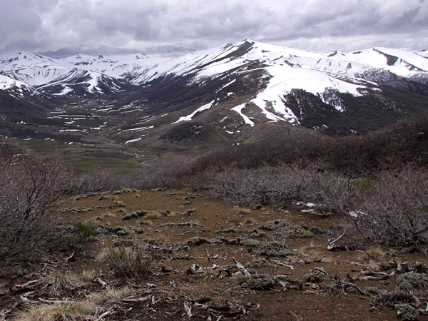 Almost bare soil, covered in places by dense, brown thickets. In the background, snow-capped mountains and a cloudy sky