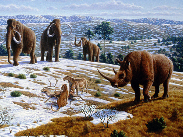 Woolly rhinoceros, mammoths and other extinct species in a hilly, treeless, snow-covered landscape