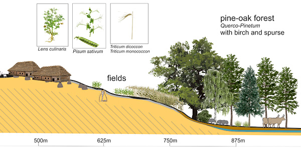 Drawing of the settlement buildings located on a hill and the fields and forests below