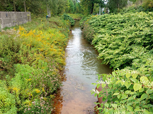 Od degradacji do rewitalizacji – innowacyjna metoda oczyszczania wód pokopalnianych za pomocą glonów