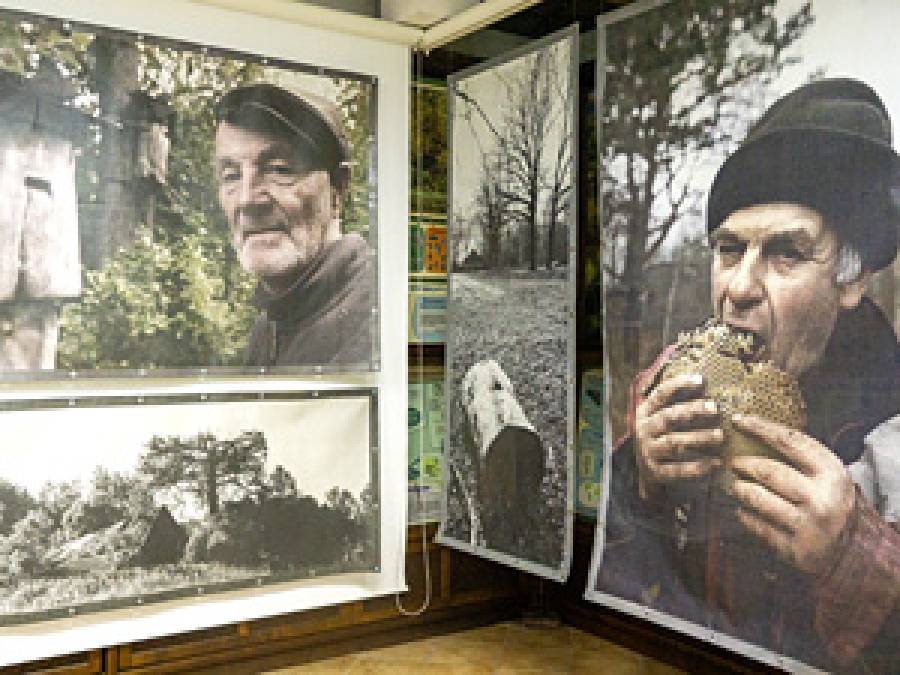 Tree beekeepers – eternal guardians of the secrets of bees. Exhibition of photographs by Prof. Krzysztof Heyke